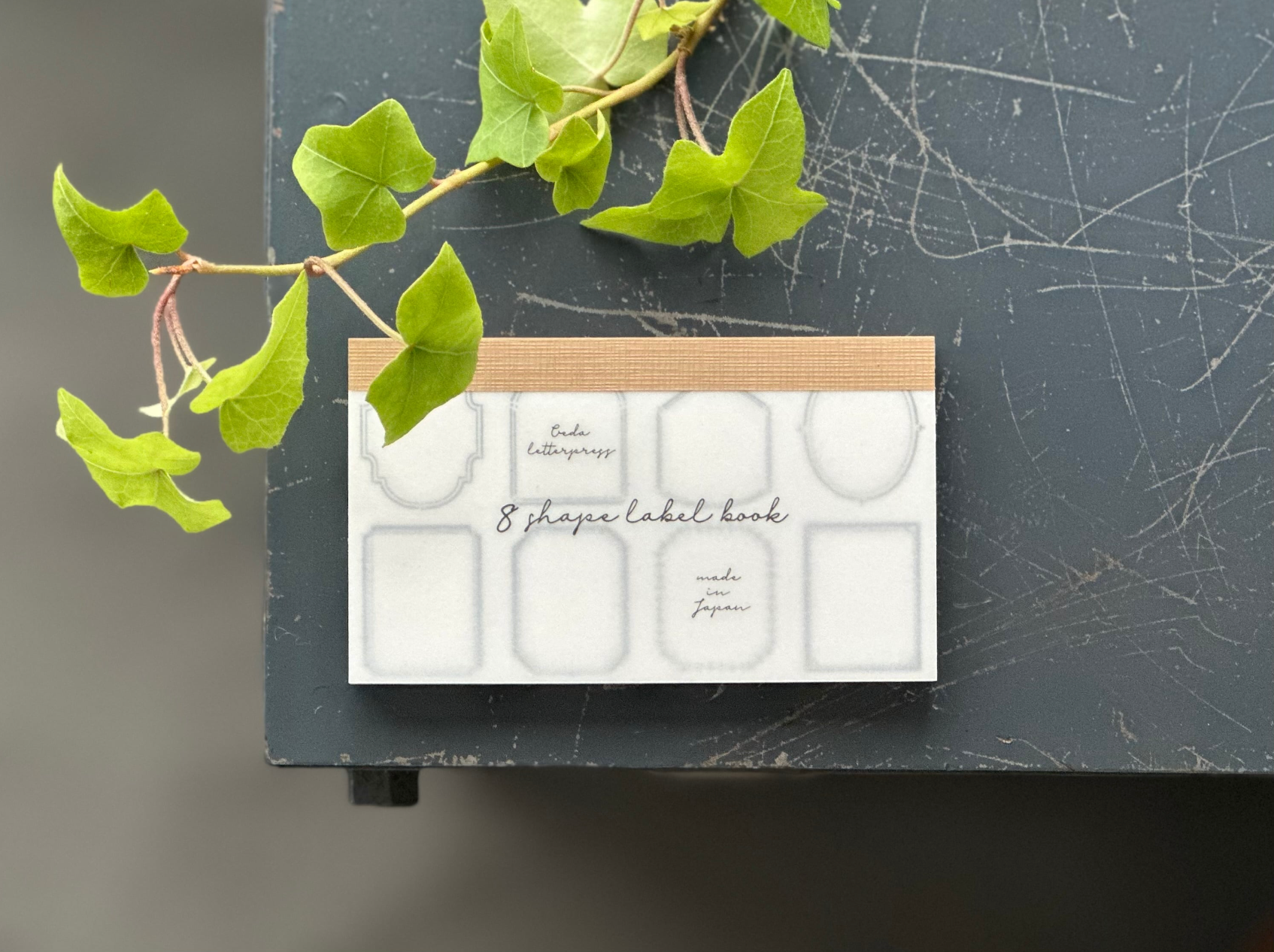 活版印刷】8shape label book【Frame/Darkblue】