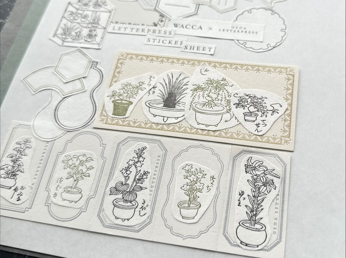 "WACCA JAPAN コラボ" LETTERPRESS sticker sheet【EDO GARDENING】