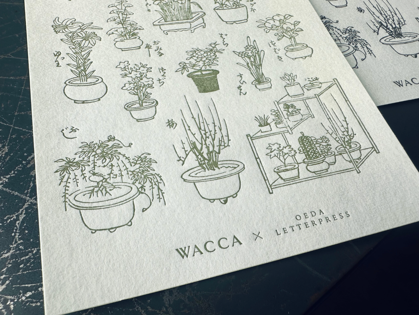 "WACCA JAPAN コラボ" LETTERPRESS sticker sheet【EDO GARDENING】