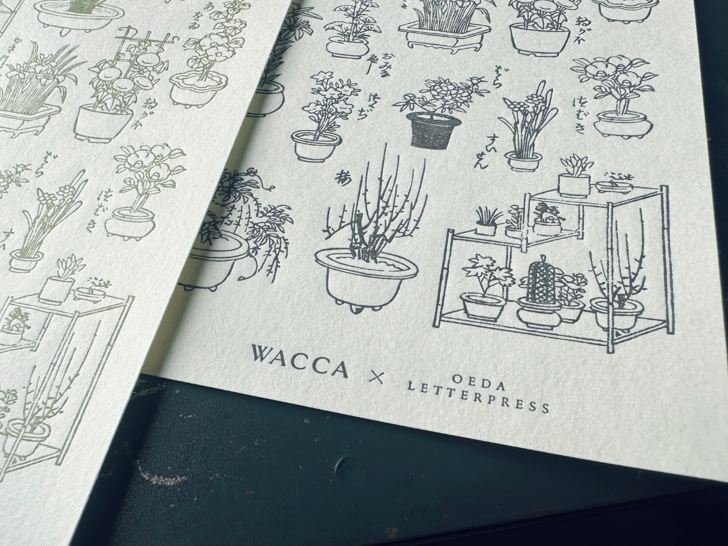 "WACCA JAPAN コラボ" LETTERPRESS sticker sheet【EDO GARDENING】