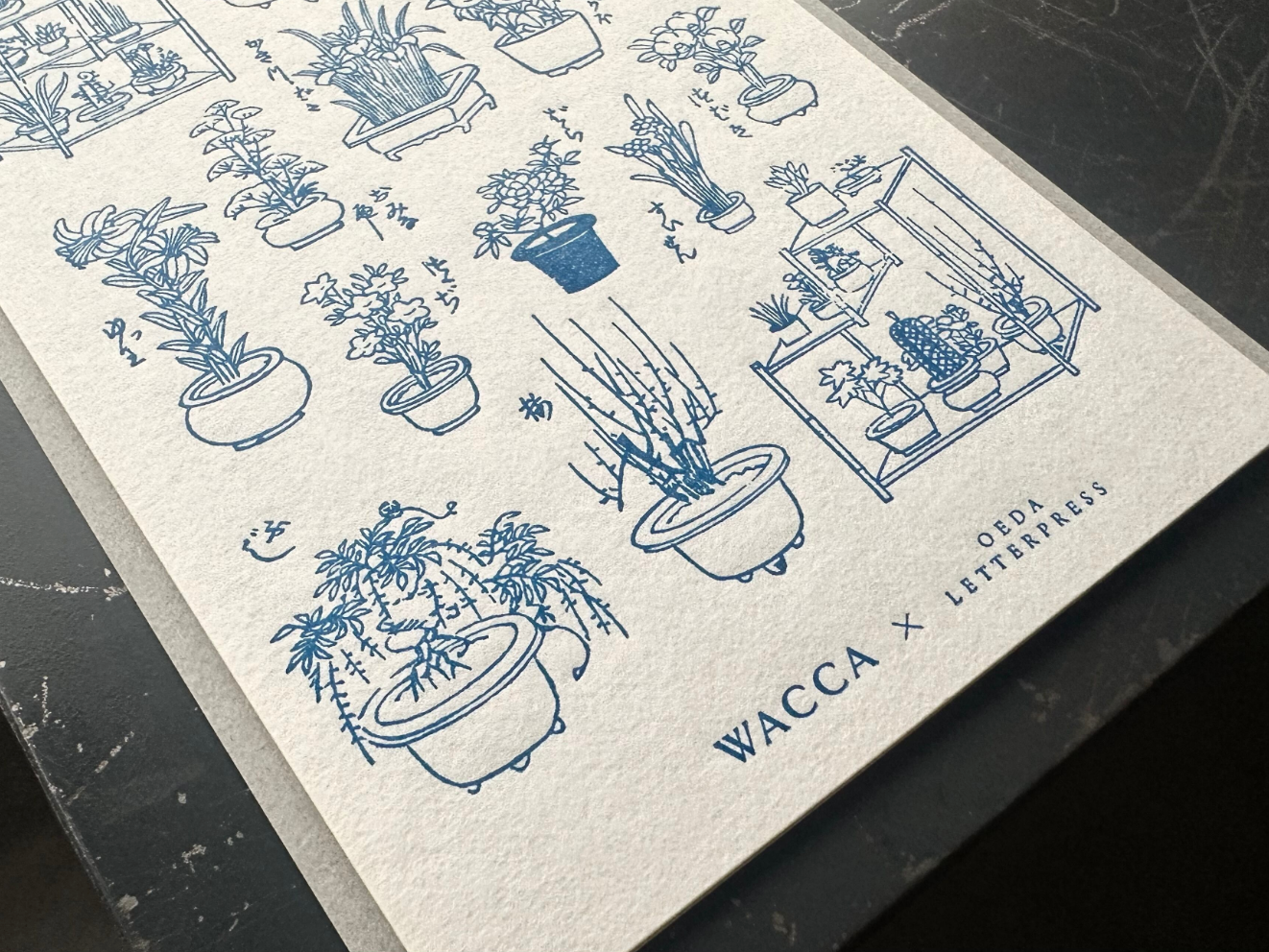 ”NEW"【限定色】"WACCA JAPAN コラボ" LETTERPRESS sticker sheet【EDO GARDENING/紺碧色】