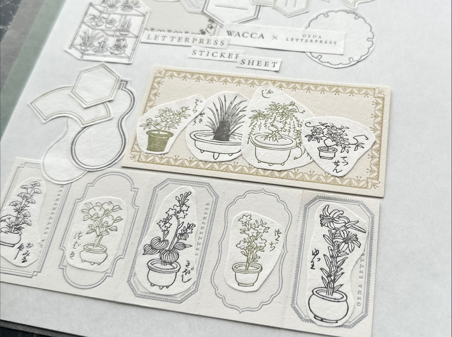 ”NEW" "WACCA JAPAN コラボ" LETTERPRESS sticker sheet【EDO GARDENING】