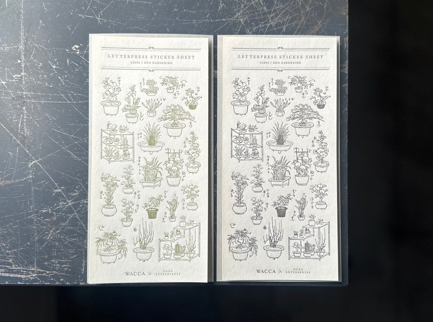 ”NEW" "WACCA JAPAN コラボ" LETTERPRESS sticker sheet【EDO GARDENING】