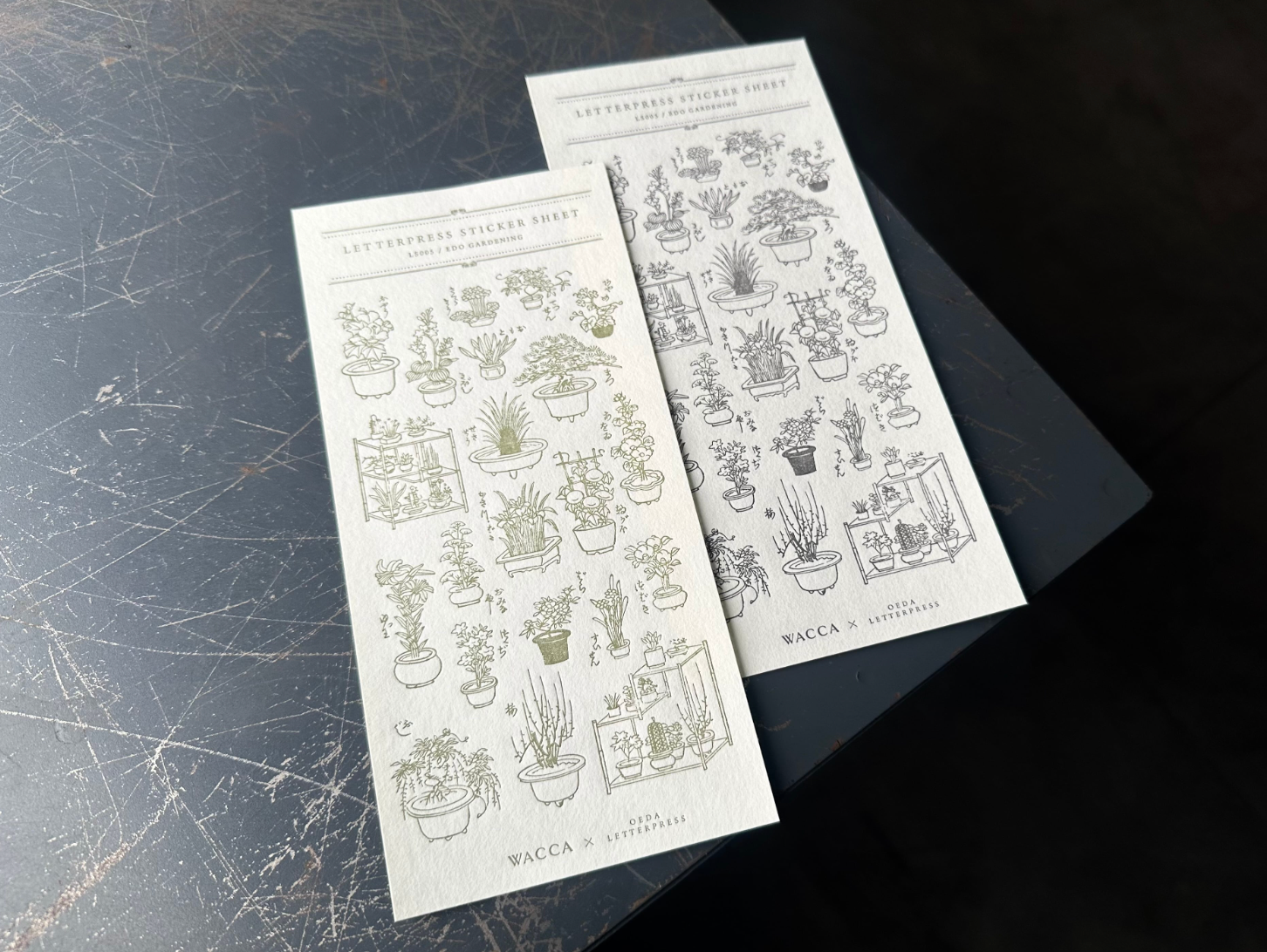 "WACCA JAPAN コラボ" LETTERPRESS sticker sheet【EDO GARDENING】