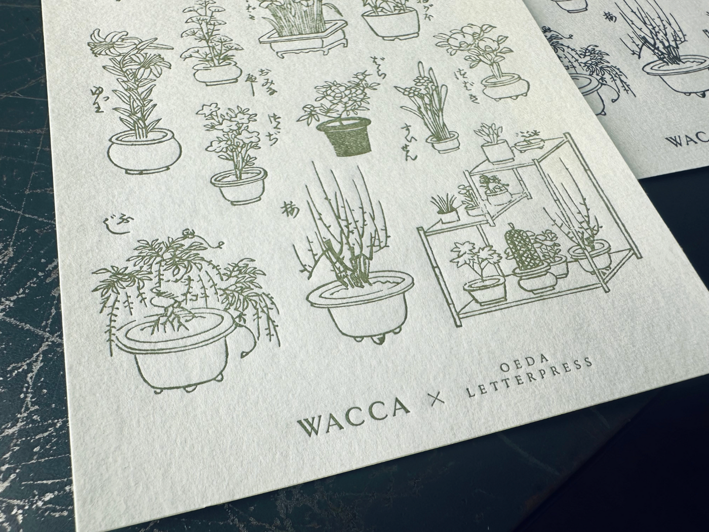 OEDA LETTERPRESS Sticker Sheet - Edo Gardening Green