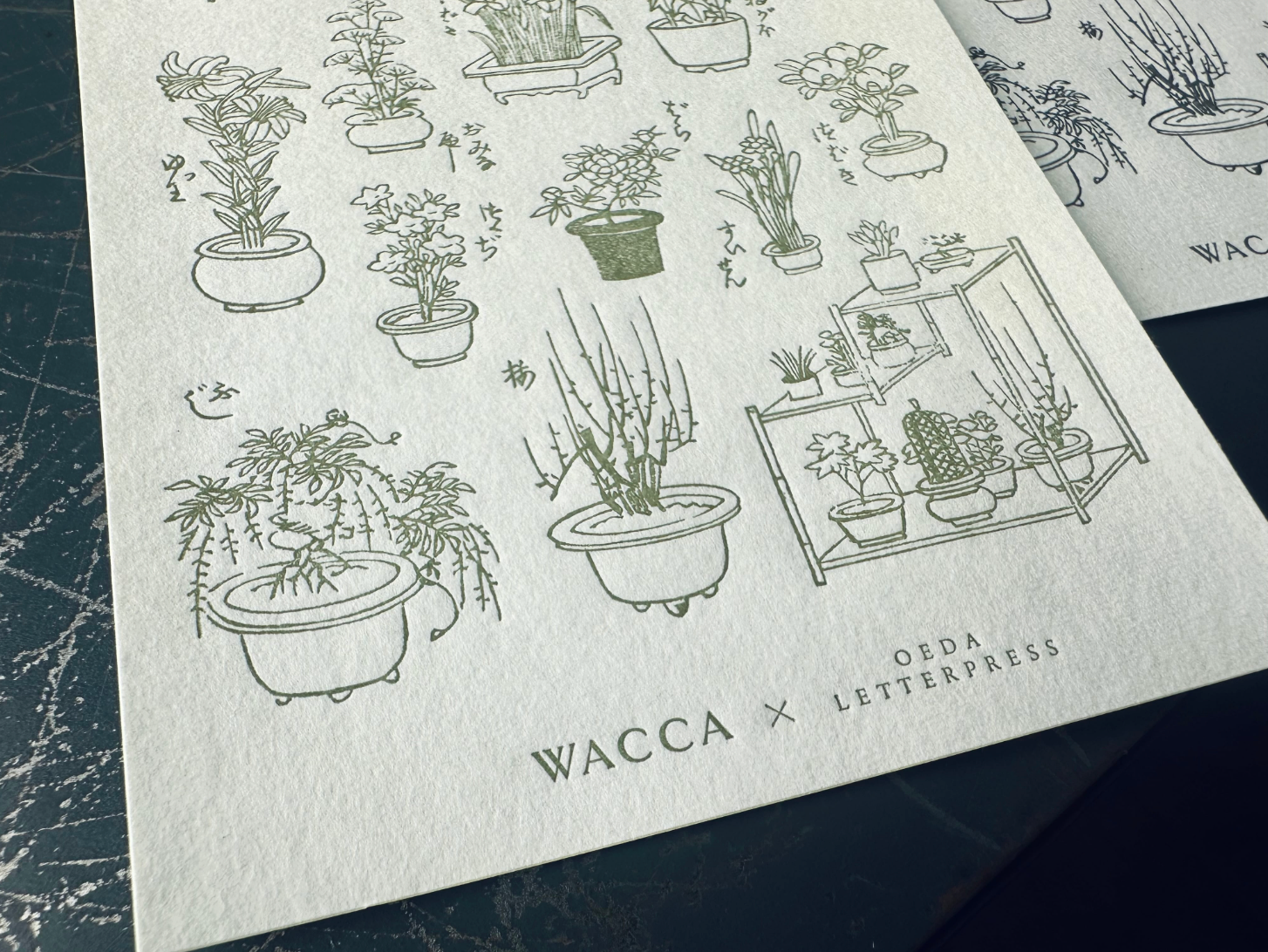 ”NEW" "WACCA JAPAN コラボ" LETTERPRESS sticker sheet【EDO GARDENING】