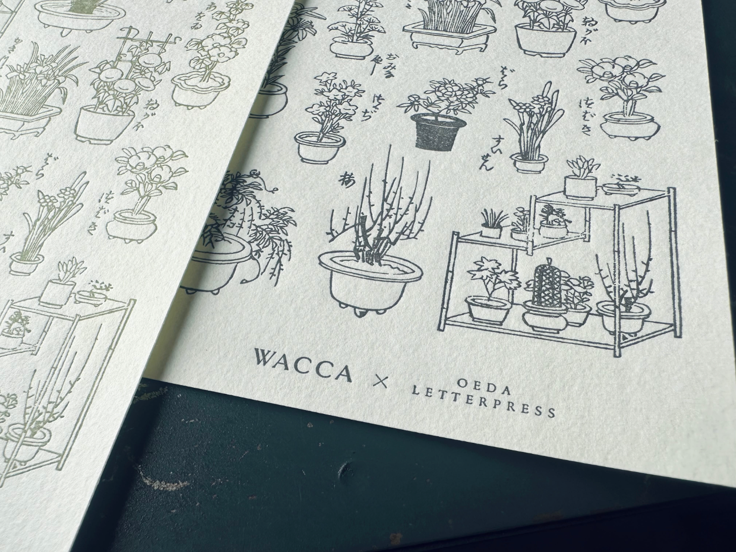 ”NEW" "WACCA JAPAN コラボ" LETTERPRESS sticker sheet【EDO GARDENING】